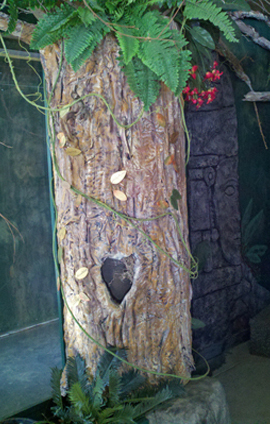 Foam tree in exhibits