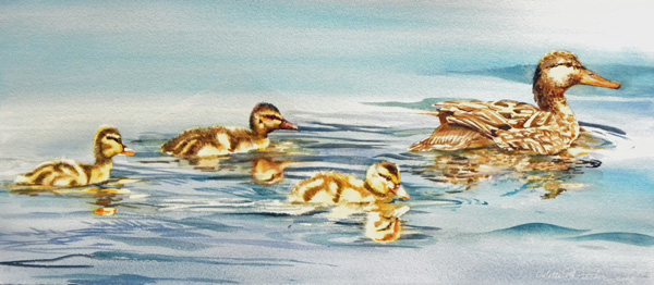 Watercolor ducks