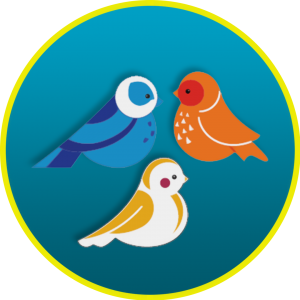 birds and letters