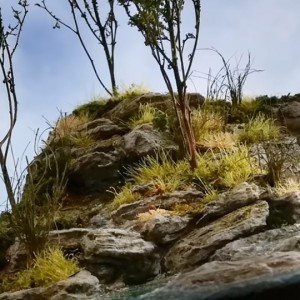 realistic water scene