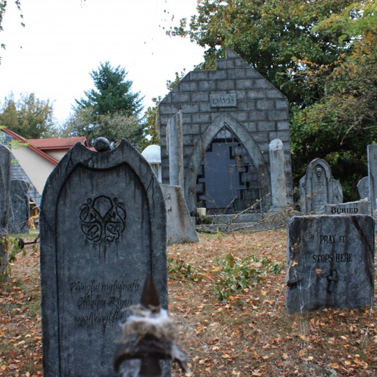 davis graveyard